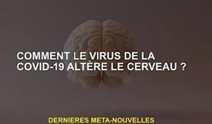 Comment le virus Covid-19 affecte-t-il le cerveau ?