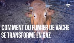 Voici comment cet agriculteur produit du gaz avec le fumier des vaches et les déchets de sa ferme