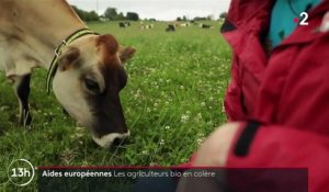 Aides européennes : la colère des agriculteurs bio