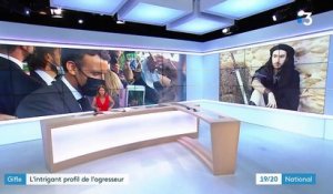Emmanuel Macron giflé : le profil de l'agresseur intrigue