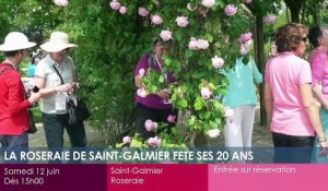 Toutes vos sorties dans la Loire !