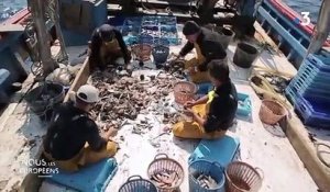 Espagne : des pêcheurs ramassent les déchets en plastique qui mettraient des siècles à disparaître sans leur action collective