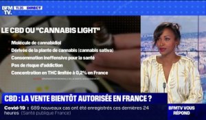Pourquoi le CBD pourrait-il être légalisé en France à l'inverse du cannabis ? BFMTV répond à vos questions