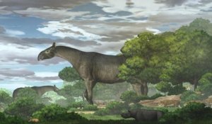 Chine : des scientifiques ont découvert une nouvelle espèce de rhinocéros géant, qui vivait il y a 26 millions d'années