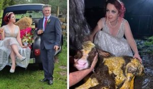 Alors que sa vache était en train de mettre bas, une mariée a quitté la réception de mariage pour l'aider