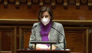 programmation militaire: Florence Parly demande au Sénat de retrouver son sérieux