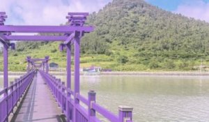 Corée du Sud : îles totalement peintes en violet, l’opération marketing pour attirer les touristes