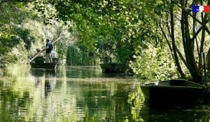 L'été à travers les paysages de la Nouvelle-Aquitaine