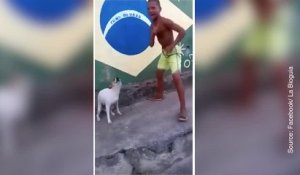 Un chien brésilien qui a le rythme dans la peau !