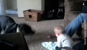 Face à ce chien, ce bébé a un énorme fou rire ! (Vidéo)