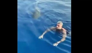 Ce touriste rencontre un requin... pas rassurant
