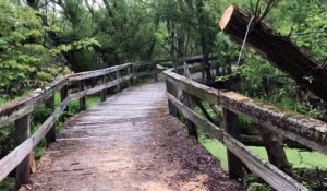 Passerelle du territoire du ruisseau Saint-Jean