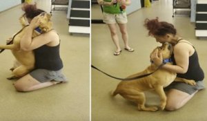 Souhaitant adopter un animal de compagnie dans un refuge, elle retrouve le chien qu'elle a perdu il y a deux ans