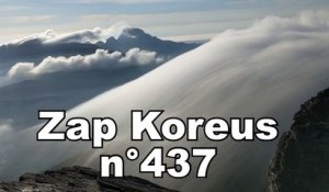 Zap Koreus nn°437