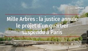 Mille Arbres : la justice annule le projet d’un quartier suspendu à Paris