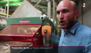 Production de lin : des entreprises relocalisent en France pour faire revivre la filature française