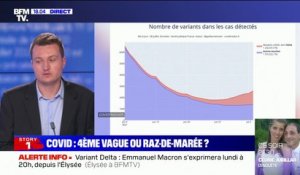 Guillaume Rozier: "Le variant Delta sera majoritaire dans les prochains jours"