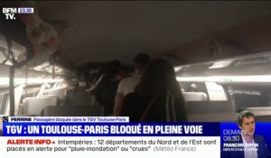 TGV Toulouse-Paris bloqué en pleine voie: une passagère témoigne