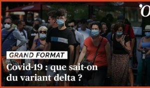 Quatrième vague de Covid-19: que sait-on du variant delta?