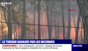 Depuis quatre jours, la Turquie est ravagée par les feux de forêts