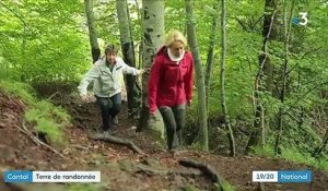 Cantal : à la découverte d'une terre de fromages et de randonnées