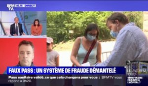 Les trafics de faux pass sanitaires "se multiplient à travers la France", selon SGP Police