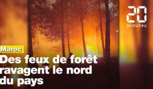 Maroc: Des feux de forêt ravagent le nord du pays