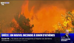 En Grèce, un nouvel incendie sévit à 50 km d'Athènes