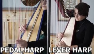 Elle branche une pédale de distorsion à une harpe, le résultat est incroyable