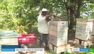 Mortalité des abeilles : les excellents premiers résultats de l'hivernage des ruches