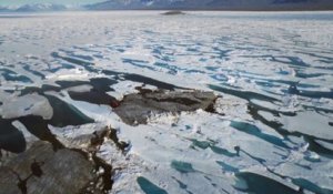 La terre la plus au nord de la planète aurait été découverte au Groenland