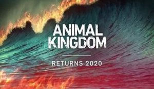 Animal Kingdom - Promo 5x09