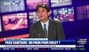 Philippe d'Ornano (Sisley) : “On essaye d’effacer la crise” - 02/09