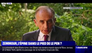 Éric Zemmour présente son nouveau livre et annonce une tournée promotionnelle via une vidéo sur les réseaux sociaux