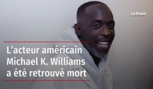 L’acteur américain Michael K. Williams a été retrouvé mort