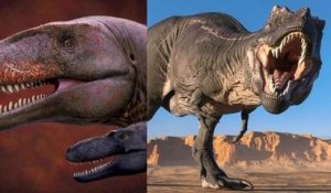 Découverte en Ouzbékistan d'un dinosaure prédateur, bien plus redoutable encore que les T-Rex