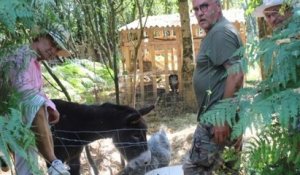 En Vendée, un collectif se mobilise pour sauver des animaux abandonnés dans une ferme