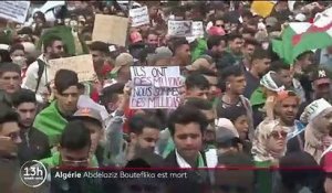Algérie : retour sur la carrière politique d'Abdelaziz Bouteflika