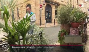 Transports : une journée sans voiture dans plusieurs villes françaises