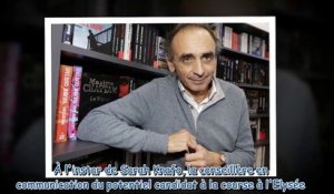 Eric Zemmour - qui est Sarah Knafo, la plus proche conseillère du polémiste -