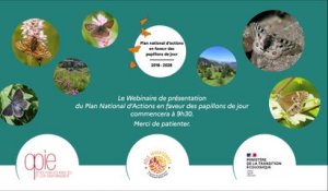 Plan national d'action pour les papillons de jour - Webinaire Grand Public 2021