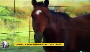 Covid-19 : aux États-Unis, certains tentent de se soigner avec un médicament pour les chevaux