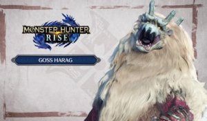 Test Monster Hunter Rise sur Switch