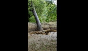 Intempéries dans les Bouches-du-Rhône: l'Huveaune emporte un arbre et un parapet sur ses berges