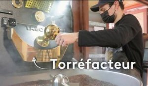Terroir - Café : passion brûlante pour les torréfacteurs