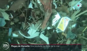 Pollution à Marseille : la lutte contre le plastique dans la Méditerranée bat son plein