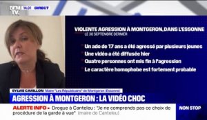 Agression à Montgeron: la victime "va bien", d'après Sylvie Carillon, maire LR de la commune