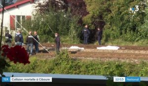 Pyrénées-Atlantiques : quatre personnes percutées par un TER