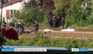 Pyrénées-Atlantiques : 4 individus percutés par un TER à Saint-Jean-de-Luz
