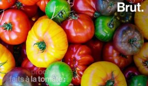 Pourquoi les tomates n'ont plus de goût